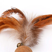 Doglemi Feather Cat Teaser with Catnip