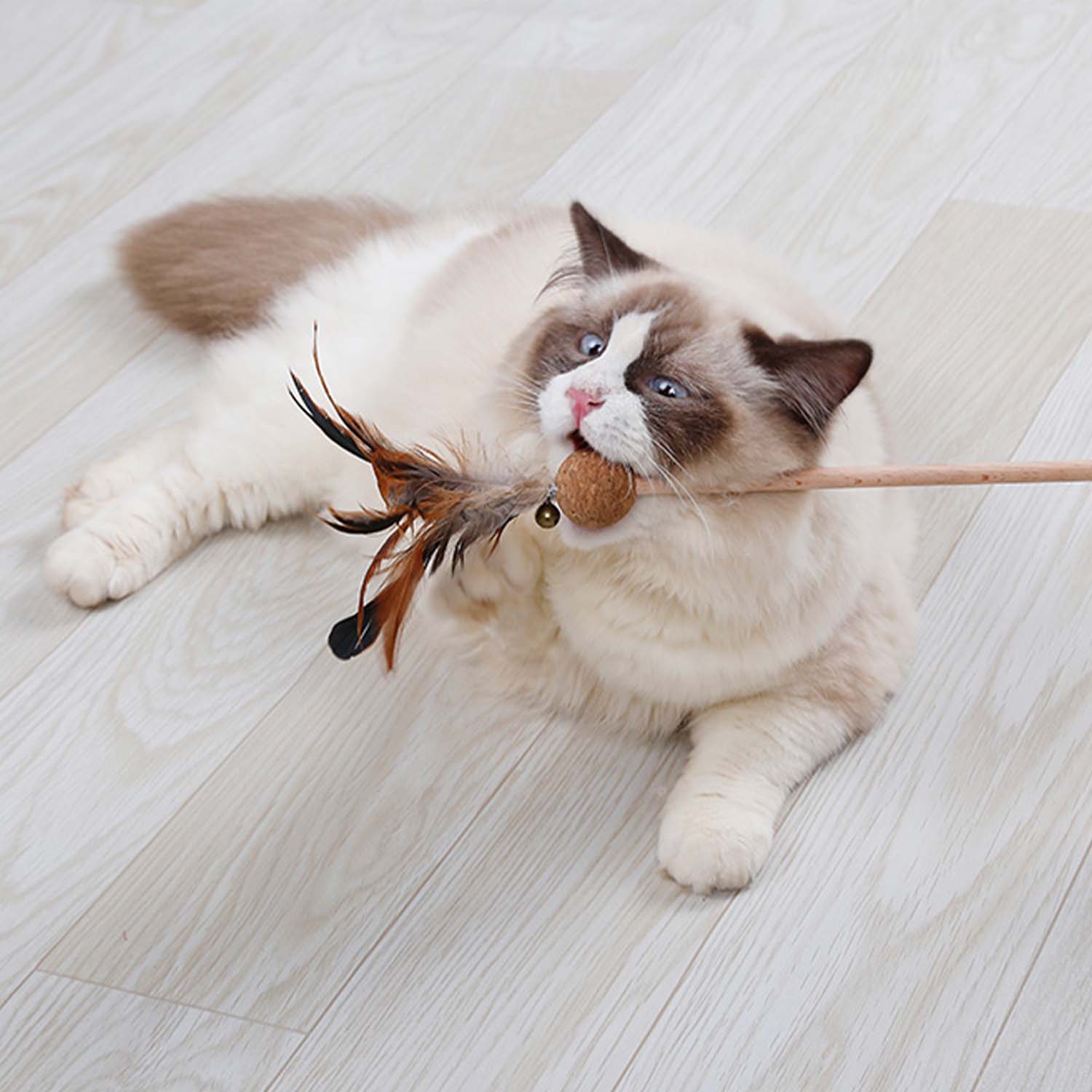 Doglemi Feather Cat Teaser with Catnip