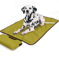Doglemi Outdoor Blanket (Green)
