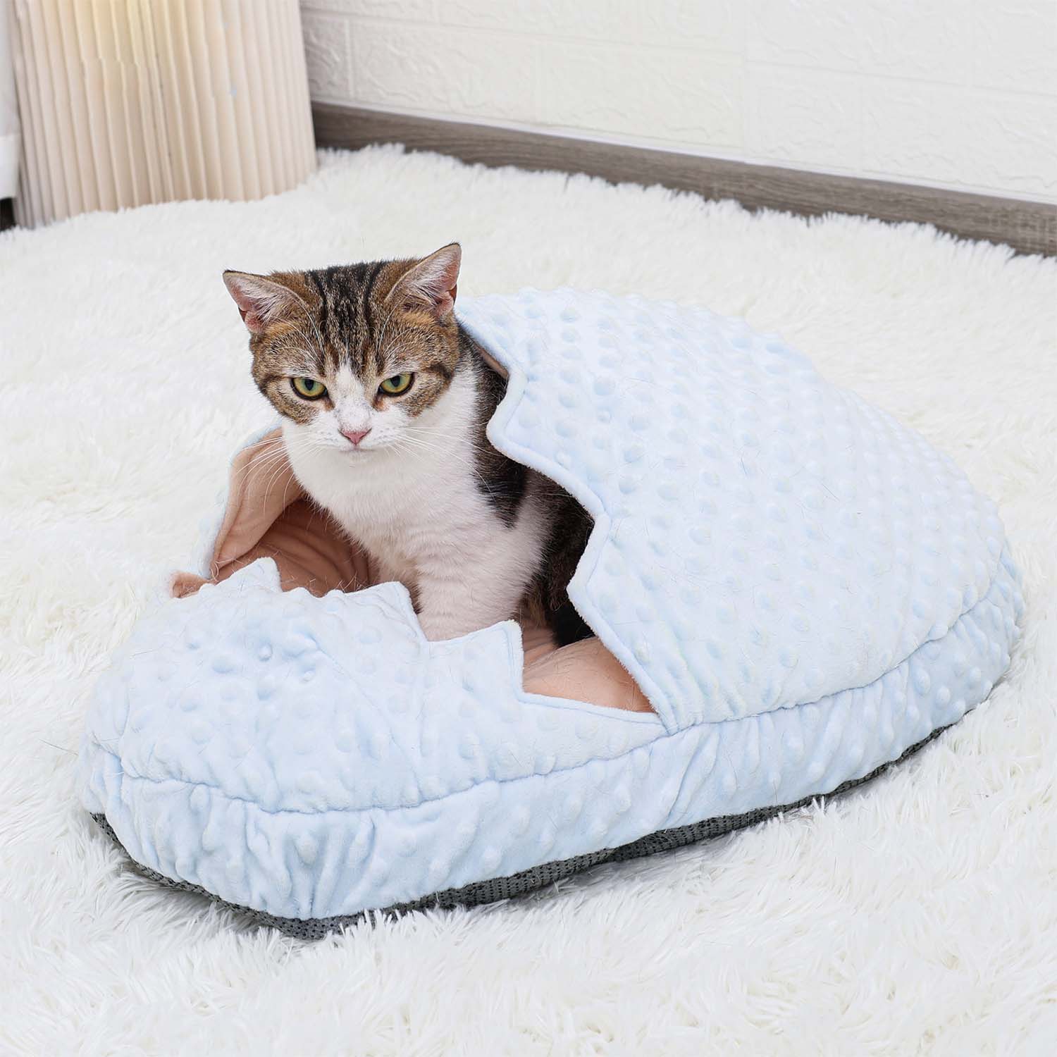 Doglemi Broke Egg Pet Bed (Blue)