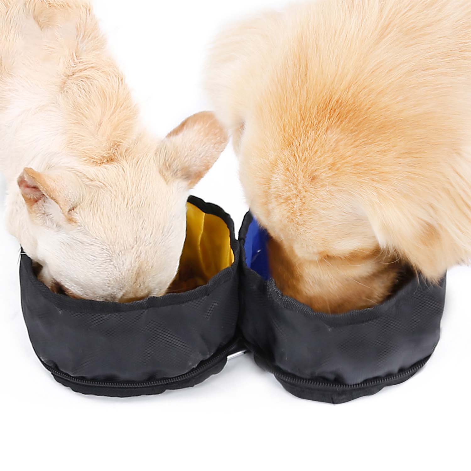 Doglemi Collapsible Double Bowl