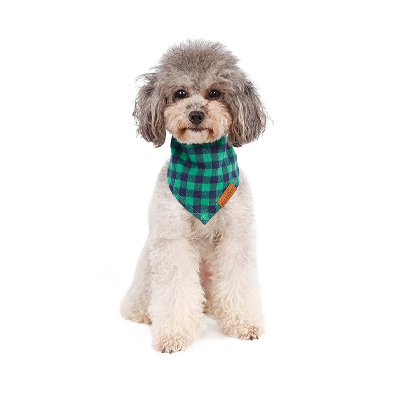 Doglemi Collar Triangle Lattice Bib (Green)