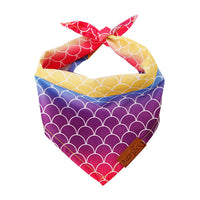 Doglemi Collar Triangle Rainbow Bib