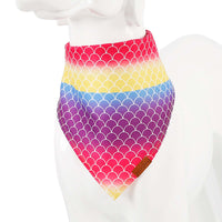 Doglemi Collar Triangle Rainbow Bib