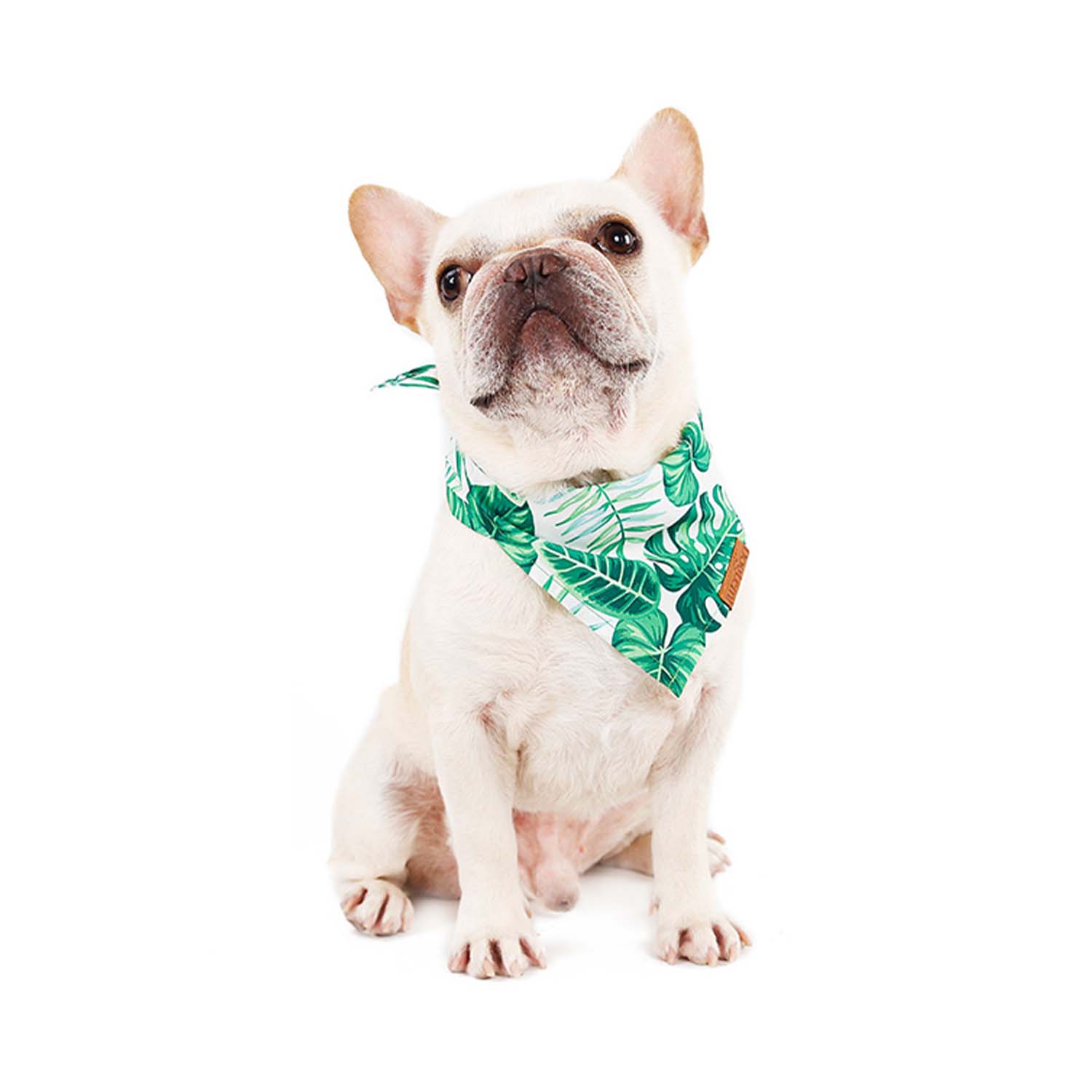 Doglemi Collar Triangle Leaf Bib