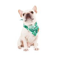 Doglemi Collar Triangle Leaf Bib