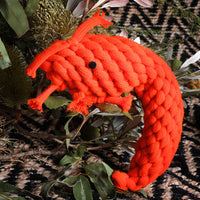Outback Tails Pam the Prawn Dog Toy