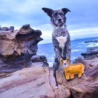 Outback Tails Darren the Dingo Dog Toy