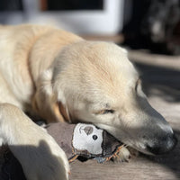 Country Tails Baa the Sheep Dog Toy