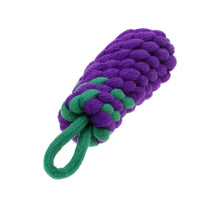 Country Tails Eggplant Rope Dog Toy