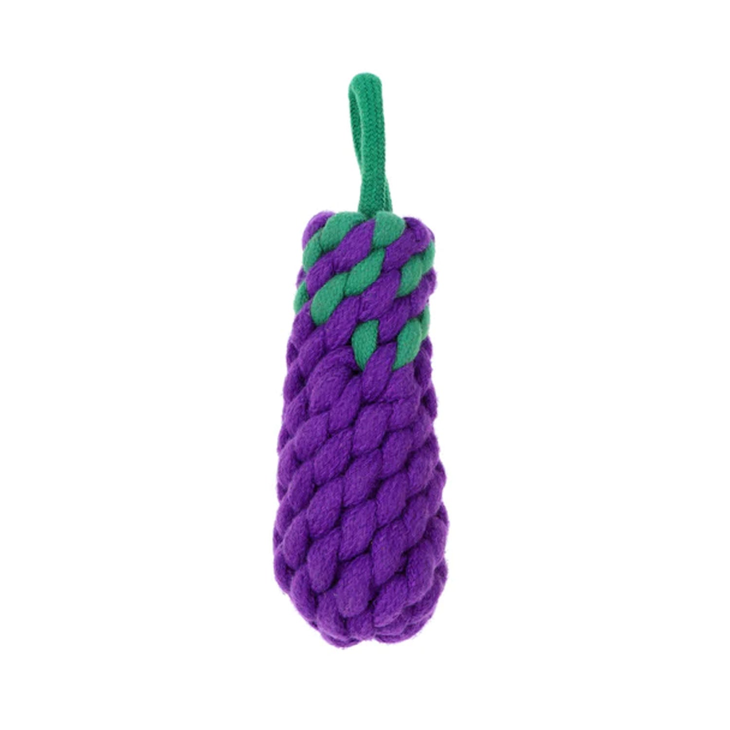 Country Tails Eggplant Rope Dog Toy