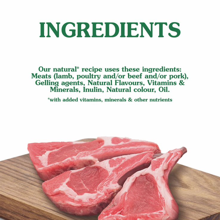 Nature's Gift Casserole Gravy Style Lamb, Vegetable & Barley Tray Dog Food