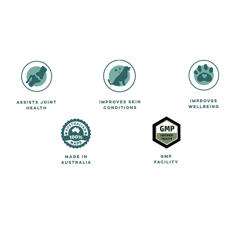 Vetactiv8 Joint Health Dog Supplement