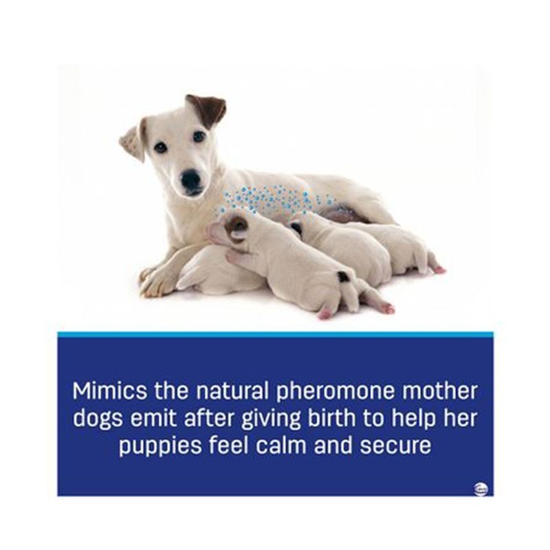 Adaptil Calm Home Diffuser