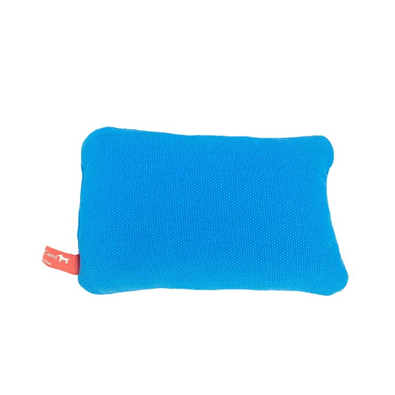 Amy & Carol Envelope Squeaky Canvas Toy