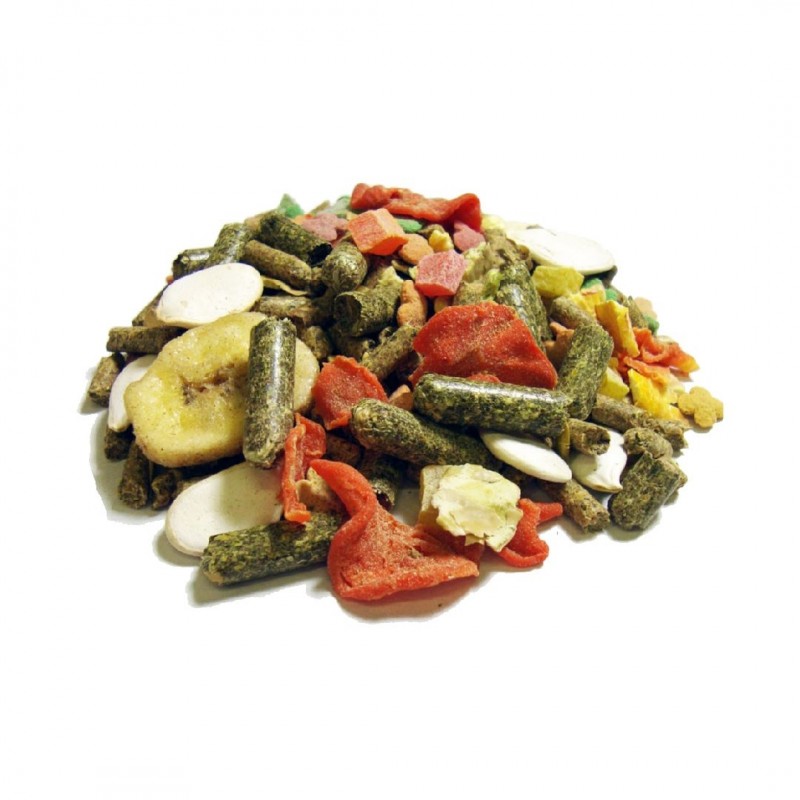 Brown's Encore Gourmet Foraging Feast Guinea Pig Food