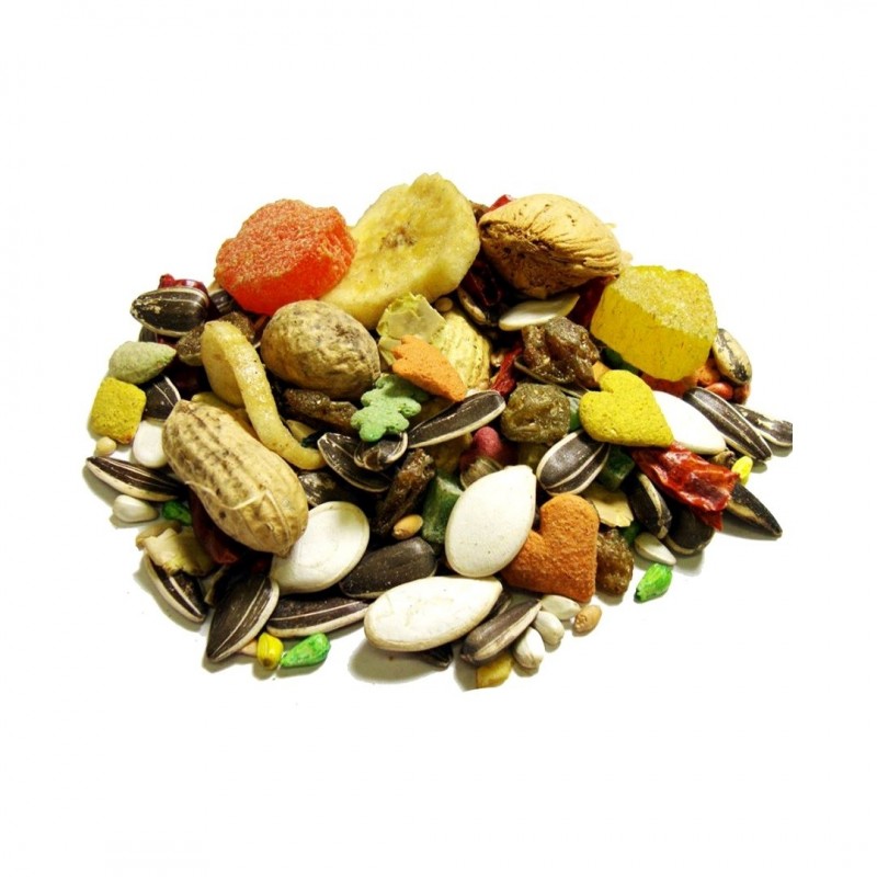 Brown s Encore Gourmet Foraging Feast Parrot Food Pets Station