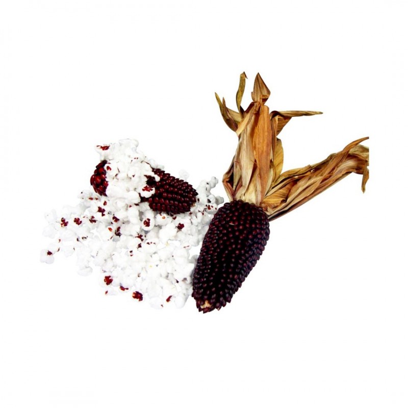 Brown's Tropical Carnival Natural Mini Corn On The Cob Treat With Husks Small Pet Treats