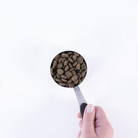 Earthborn Holistic Meadow Feast Dry Dog Food - Pets' Station