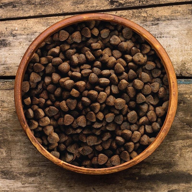 Ocean fusion dog food discount