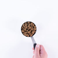 Earthborn Holistic Primitive Natural Turkey & Vegetables Dry Dog Food