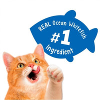 Friskies Party Mix Crunch Beachside Adult Cat Treats