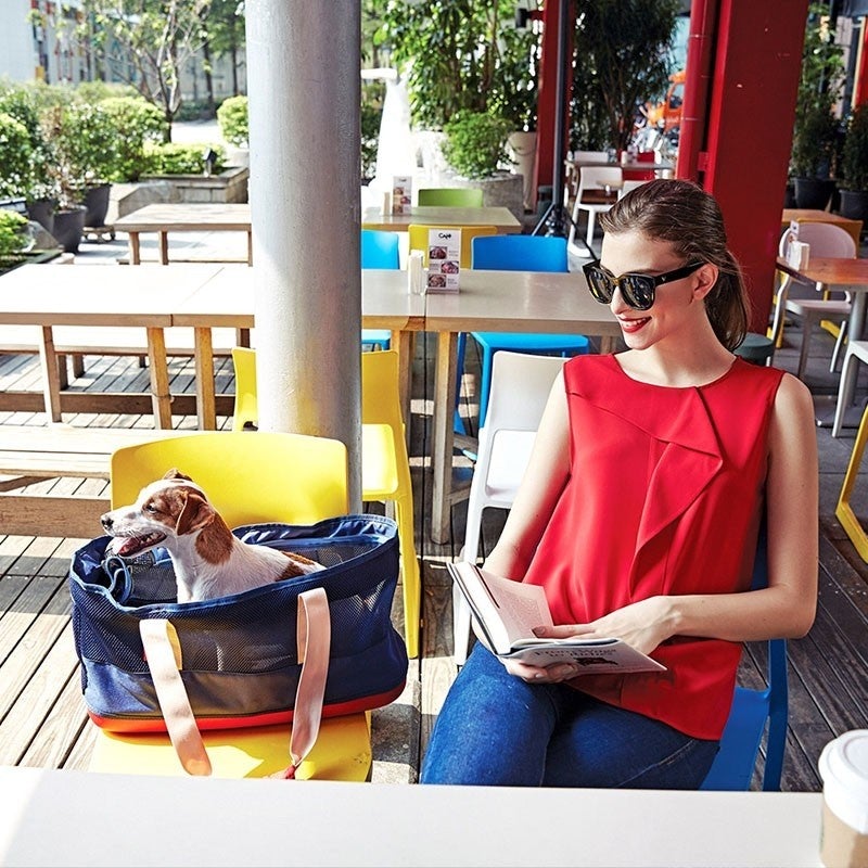 Ibiyaya Breathable Pet Carrier (Navy Blue)