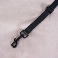 Ibiyaya Lavada Pet Transport Luggage (Phthalo Green)