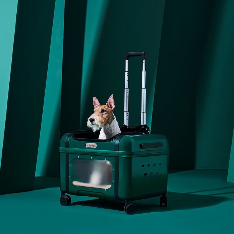 Ibiyaya Lavada Pet Transport Luggage (Phthalo Green)