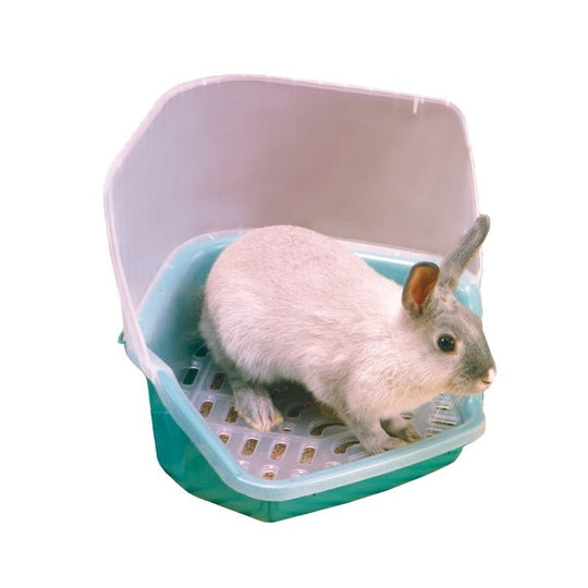 Iris Rabbit Toilet With Scoop
