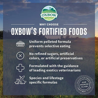 Oxbow Essentials Young Rabbit Food Dry Small Animal Food