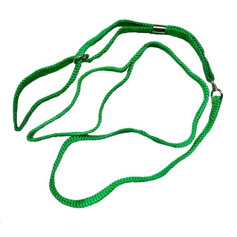 Ps Twill Lead & Collar Set