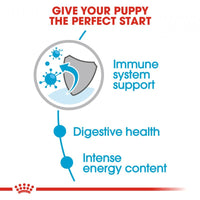 Royal Canin Size Health Nutrition Mini Puppy Pouch Dog Food 85g