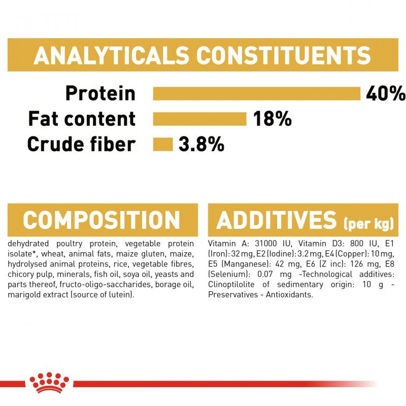 Royal Canin Feline Breed Nutrition Adult Bengal Dry Cat Food