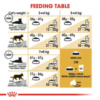 Royal Canin Feline Breed Nutrition Adult Bengal Dry Cat Food