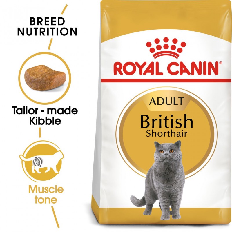 Royal Canin Feline Breed Nutrition Adult British Shorthair Dry Cat Food