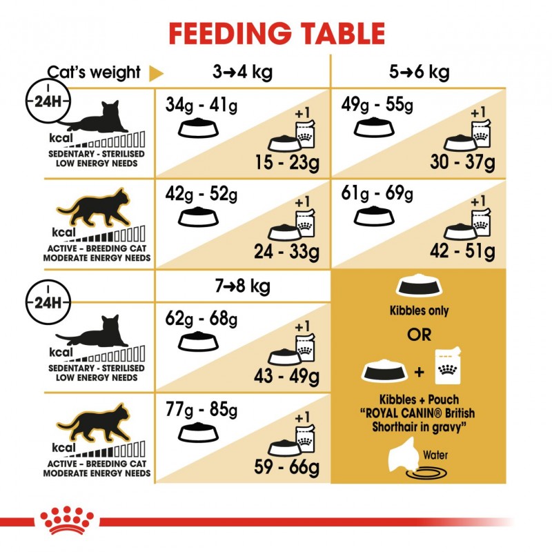 Royal Canin Feline Breed Nutrition Adult British Shorthair Dry Cat Food