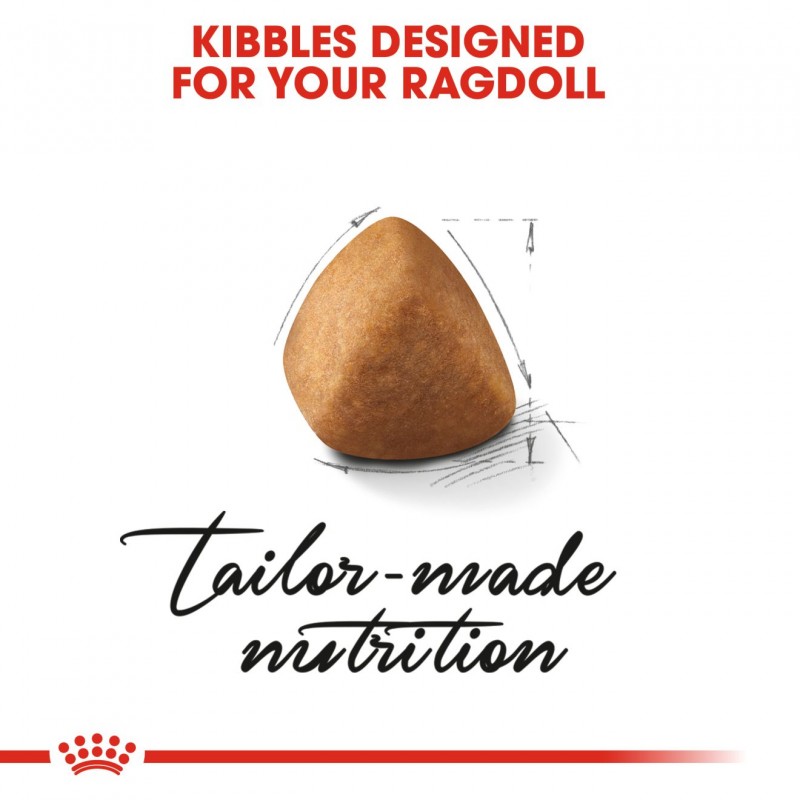 Royal Canin Feline Breed Nutrition Ragdoll Adult Dry Cat Food
