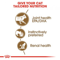 Royal Canin Feline Health Nutrition Ageing 12+ Pouch Cat Food