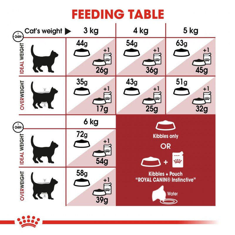 Royal Canin Feline Health Nutrition Fit 32 Dry Cat Food