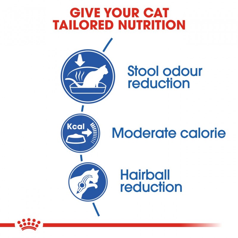 Royal Canin Feline Health Nutrition Indoor 27 Dry Cat Food