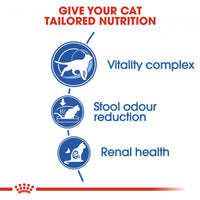 Royal Canin Feline Health Nutrition Indoor 7+ Dry Cat Food