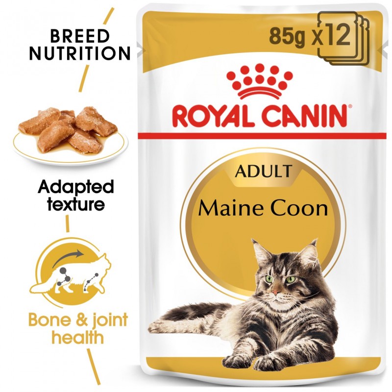 Royal Canin Feline Breed Nutrition Maine Coon Adult Gravy Pouch Cat Food