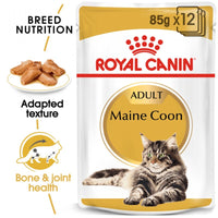 Royal Canin Feline Breed Nutrition Maine Coon Adult Gravy Pouch Cat Food