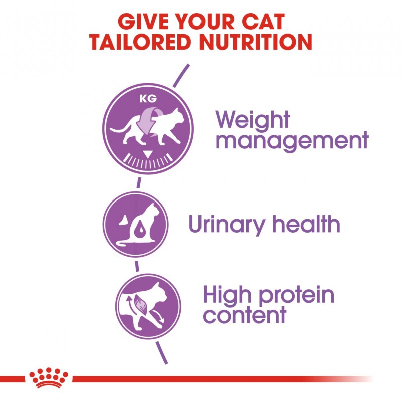 Royal Canin Feline Health Nutrition Regular Sterilised 37 Dry Cat Food