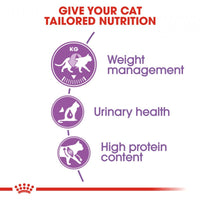 Royal Canin Feline Health Nutrition Regular Sterilised 37 Dry Cat Food
