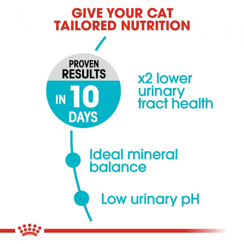 Royal Canin Feline Care Nutrition Urinary Care Dry Cat Food Pets Station