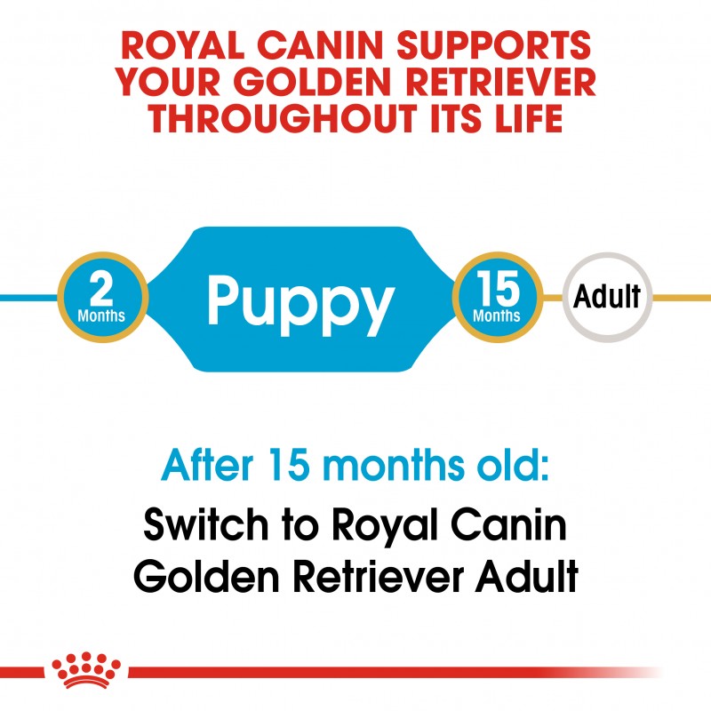 Royal Canin Breed Health Nutrition Puppy Golden Retriever Dry Dog Food