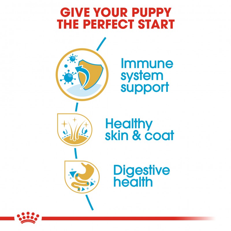 Royal Canin Breed Health Nutrition Puppy Golden Retriever Dry Dog Food