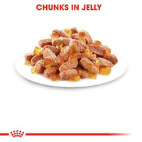 Royal Canin Kitten Jelly Pouch Cat Food